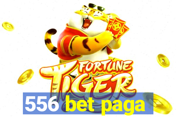 556 bet paga